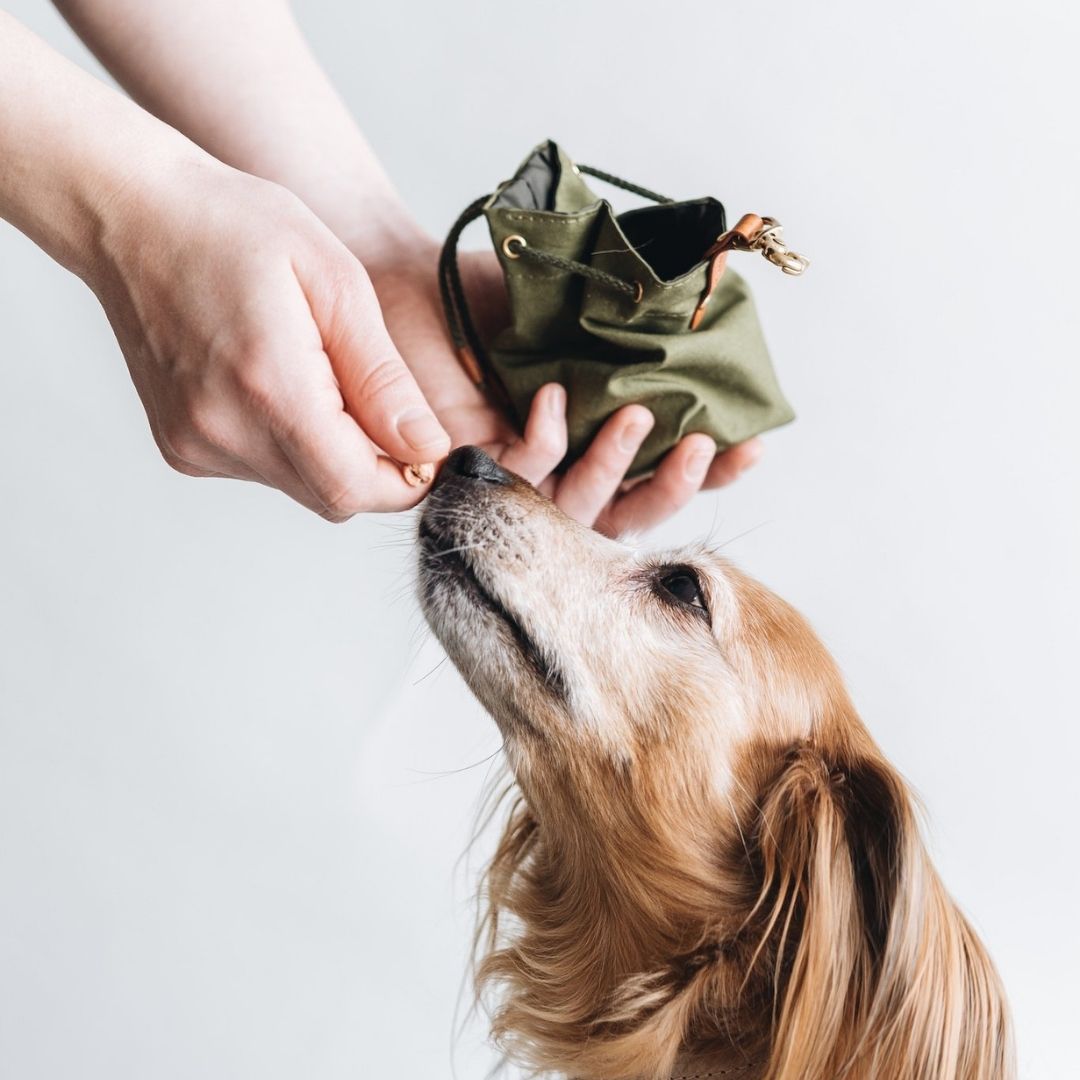 Dog treat bag pets at clearance home